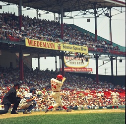 All Star Vision_254x250